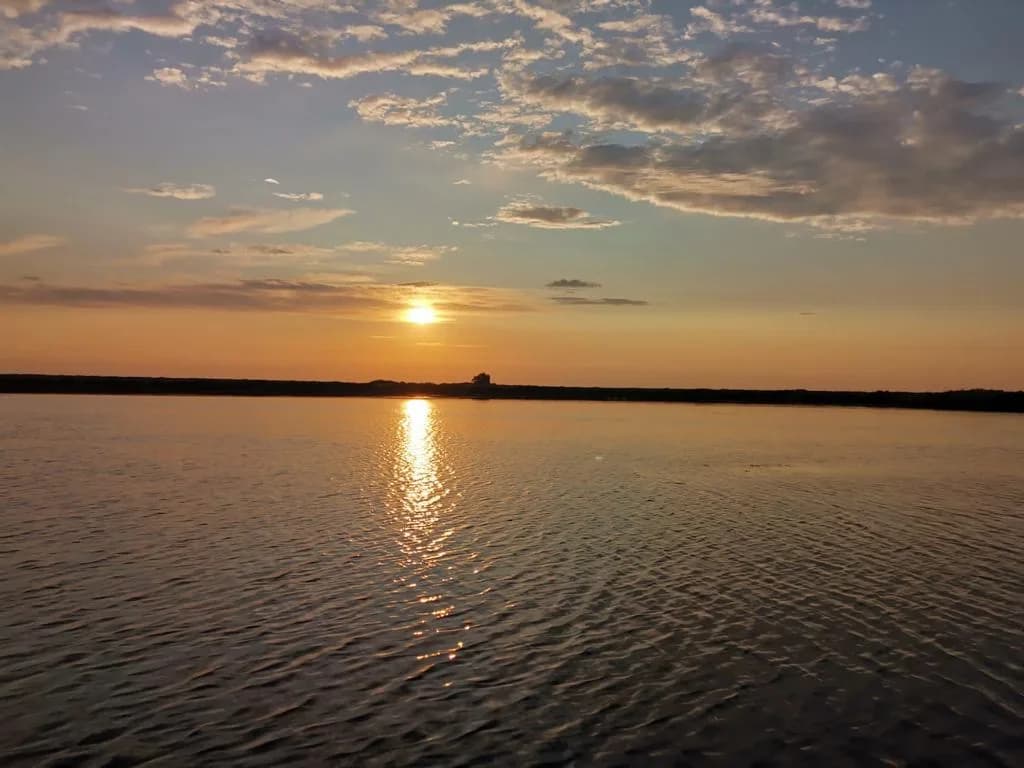 Apus pe bratul sulina